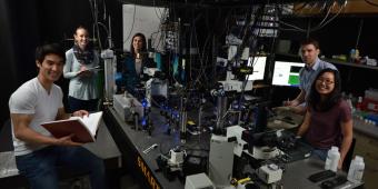 Students in research lab